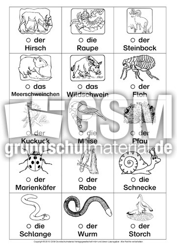 DaZ-Tiere-Ausschneidebogen-A-4.pdf